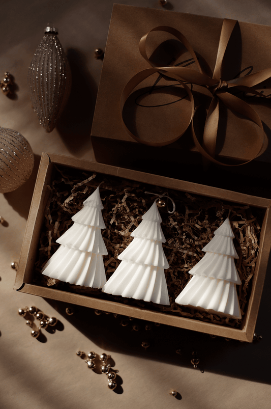 Coffret forêt de sapin