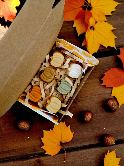 Sortilège d’automne.