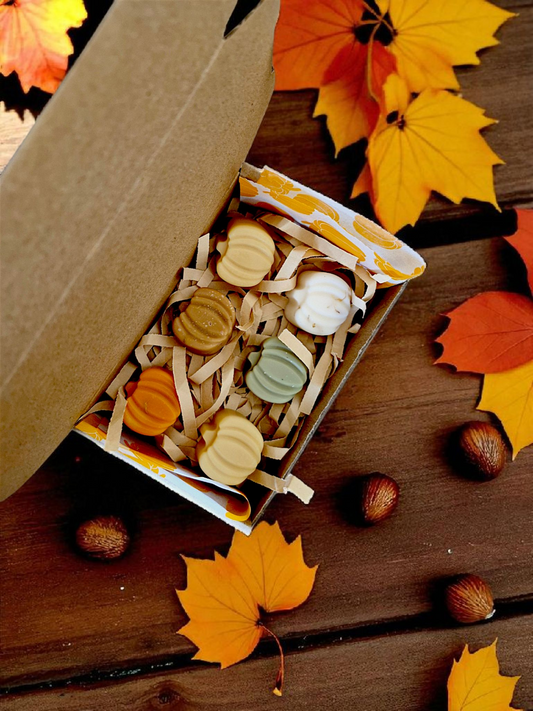 Sortilège d’automne.